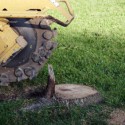 Frisco Stump Grinding